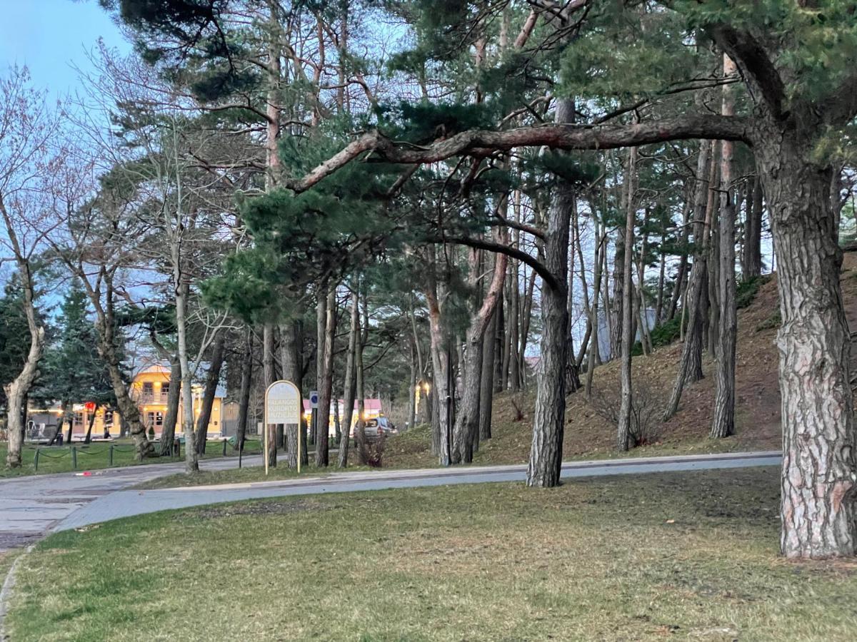 Daukanto Apartmentas بالانغا المظهر الخارجي الصورة